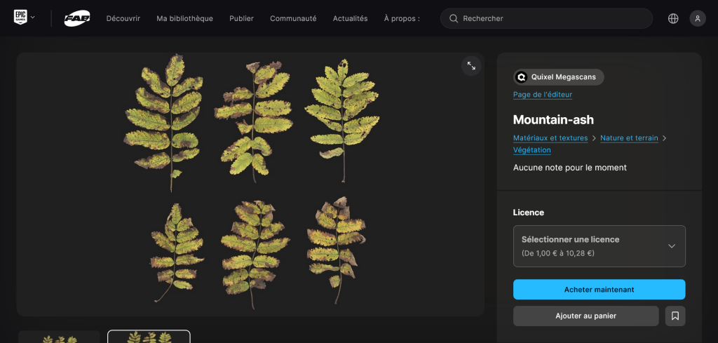 Capture d'écran d'un modèle de feuilles de sorbier en partie abîmées, sur la plateforme Fab